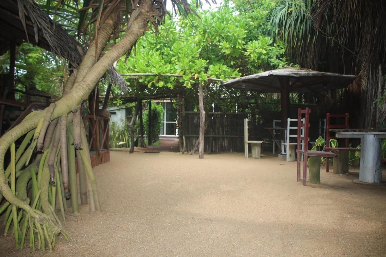 Happy Cocos Beach House واسكادوا المظهر الخارجي الصورة