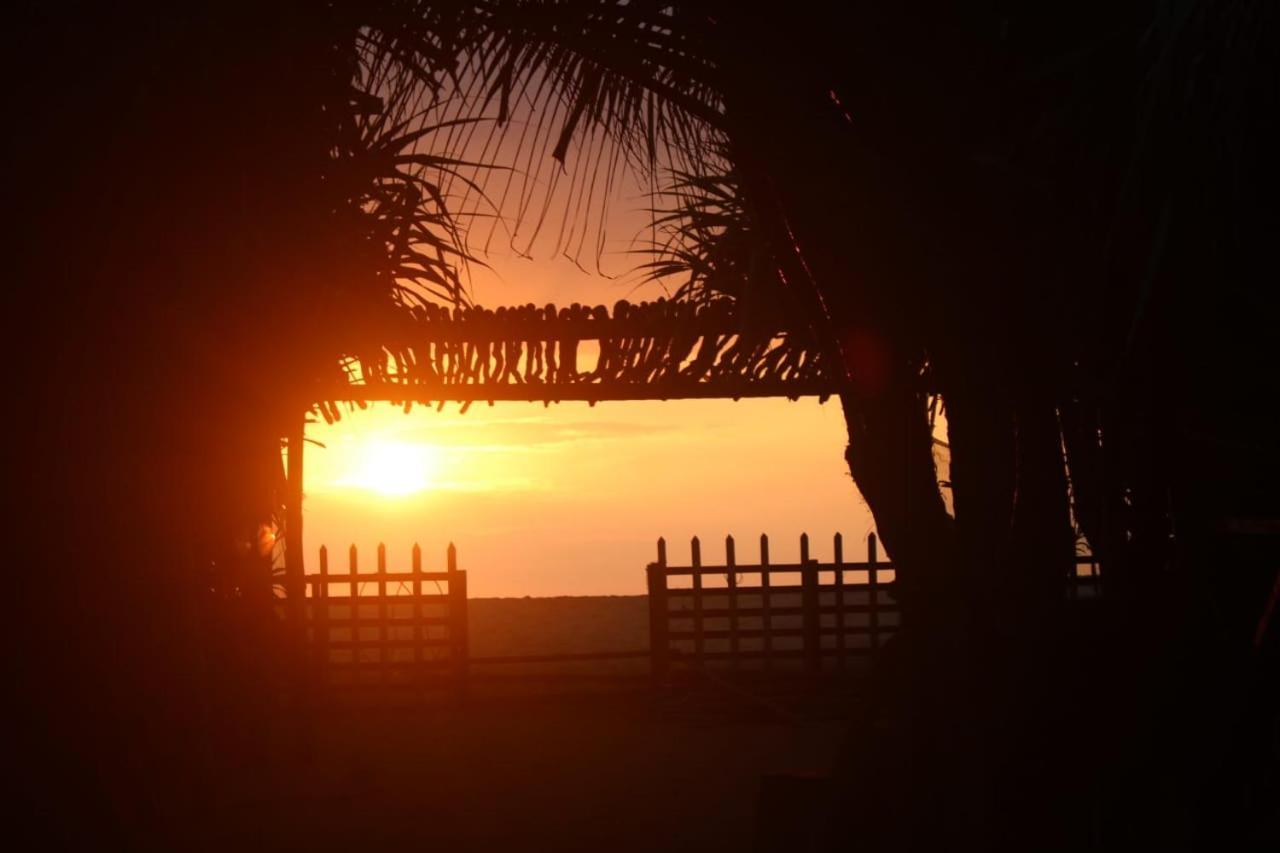 Happy Cocos Beach House واسكادوا المظهر الخارجي الصورة
