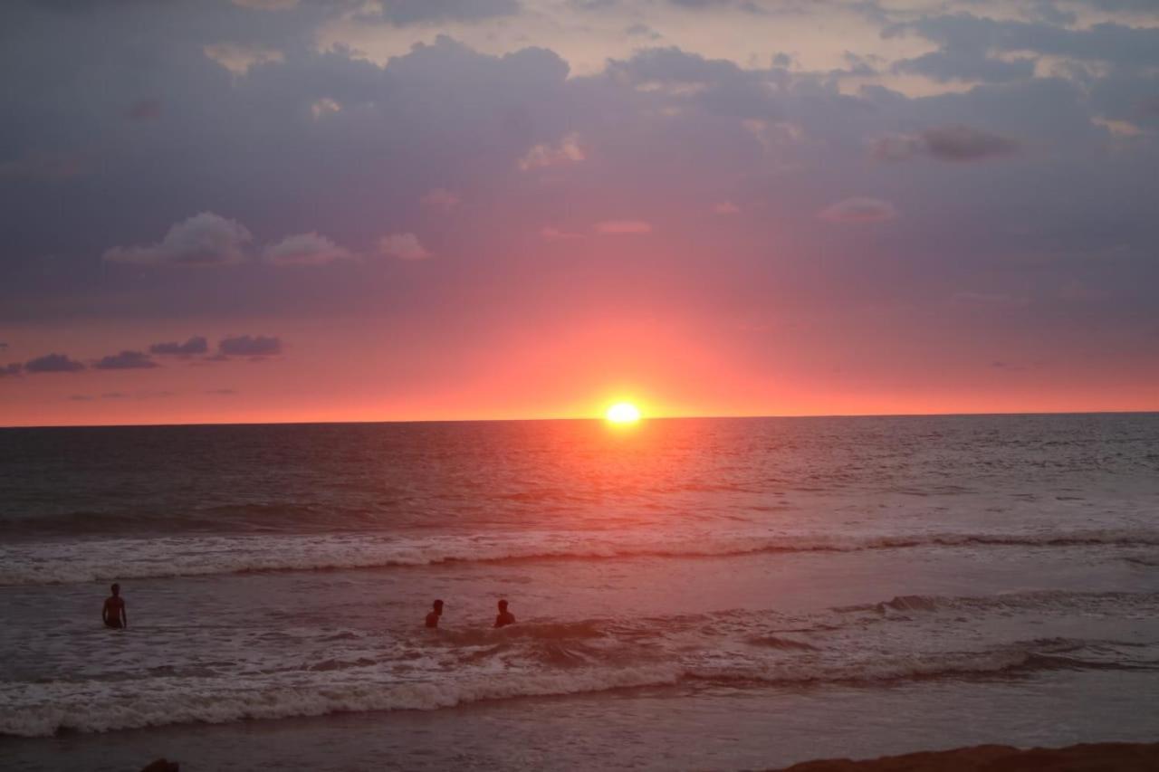 Happy Cocos Beach House واسكادوا المظهر الخارجي الصورة