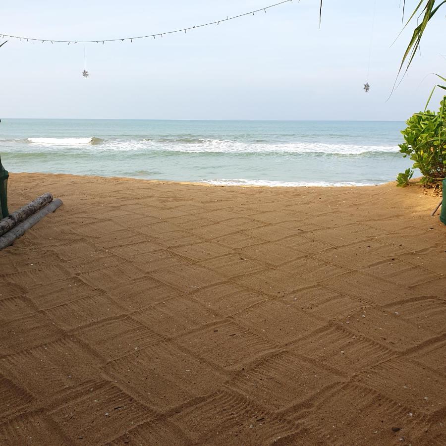 Happy Cocos Beach House واسكادوا المظهر الخارجي الصورة