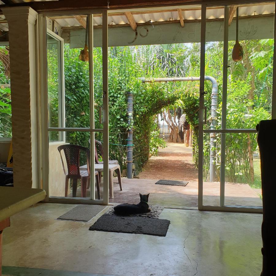 Happy Cocos Beach House واسكادوا المظهر الخارجي الصورة