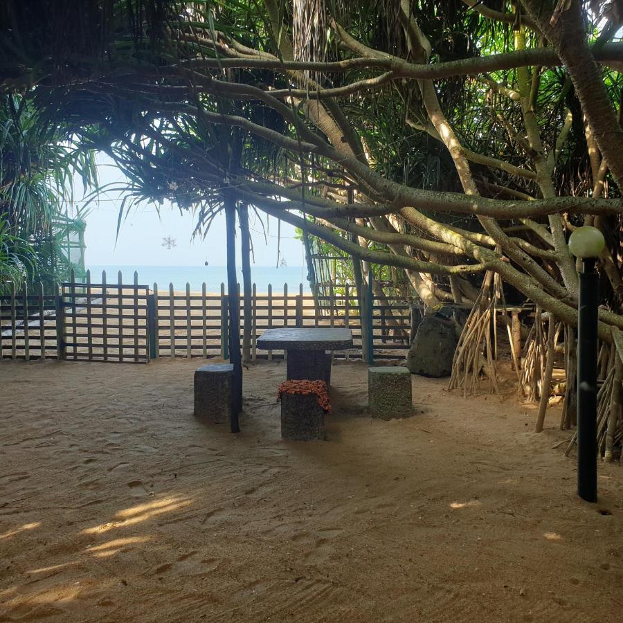 Happy Cocos Beach House واسكادوا المظهر الخارجي الصورة