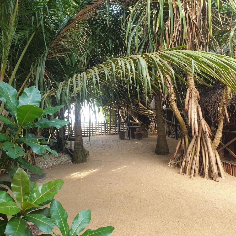 Happy Cocos Beach House واسكادوا المظهر الخارجي الصورة