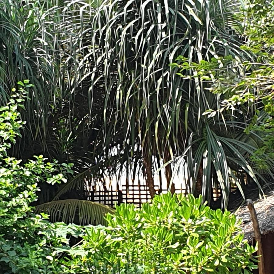 Happy Cocos Beach House واسكادوا المظهر الخارجي الصورة